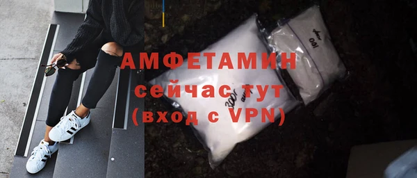 apvp Вяземский