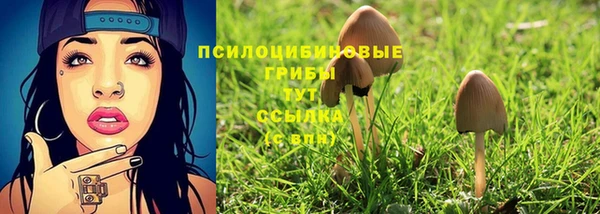 гидра Наволоки