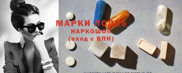 гидра Наволоки