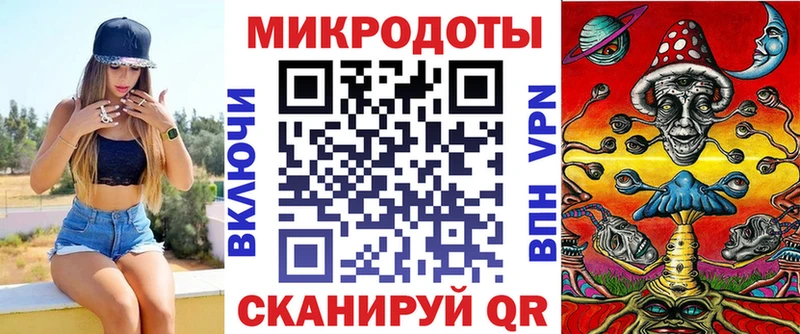 Псилоцибиновые грибы Psilocybe Тейково